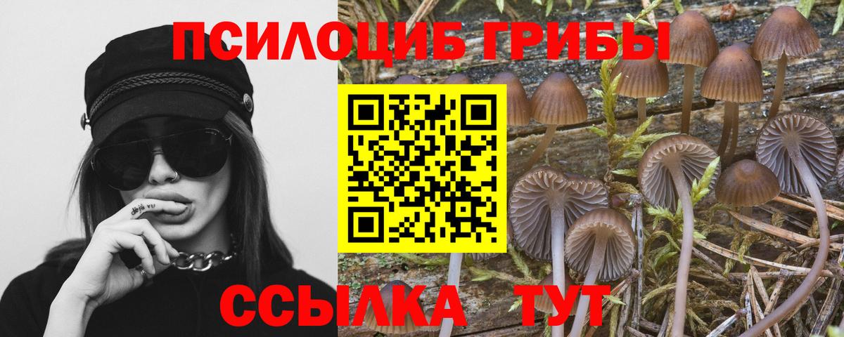 Псилоцибиновые грибы мицелий  Вход с VPN  Галлюциногенные грибы мухоморы  Санкт-Петербург 